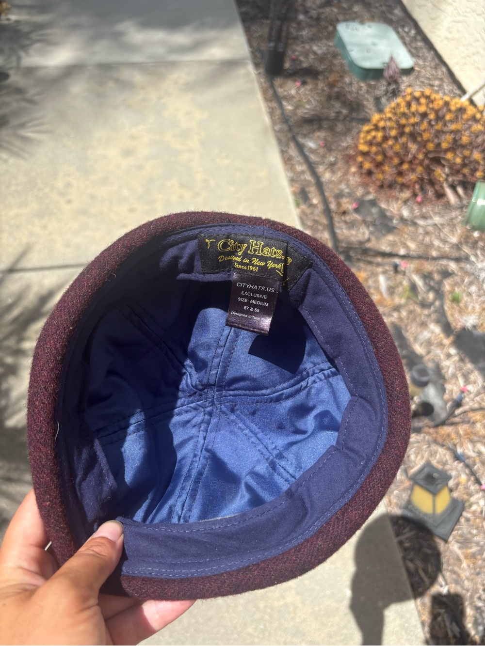 Beanie - Picture 6 of 6